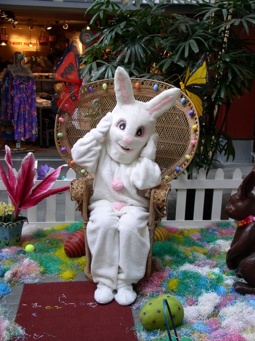 The big bunny himself will be on hand at Lahaina Cannery Mall. Photo Courtesy Lahaina Cannery Mall. 
