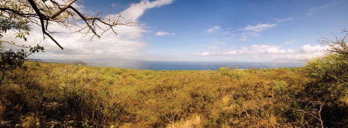 View towards the ocean from the Honua'ula property.  Site Photograph Courtesy: Honuaâ€™ula Partners, LLC, and PBR Hawaii & Associates Inc.