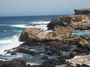 Limestone shelves and cliffs and tidepools at â€˜Ilio Point.  Photo Courtesy Hawaii DLNR.