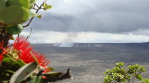 ‘Ōhi‘a tree in the foreground with the Kilauea Volcano as a backdrop, file photo by Wendy Osher.