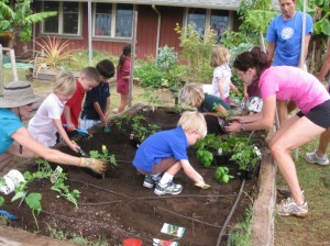 maui preparatory garden school organic