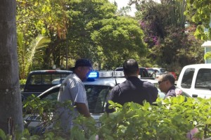 truck crash moana bakery cafe wings hawaii paid driver police
