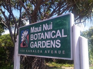 Organizations like the Maui Nui Botanical Gardens recevie economic development grants from the County of Maui. Photo by Wendy Osher.
