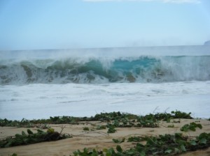 huge-big-beack-makena-maui-wave