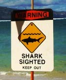 Shark sign, file photo by Wendy Osher.