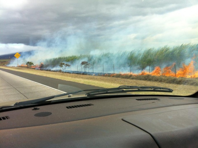 Cane fire by the road. File photo courtesy Philip Guenther.