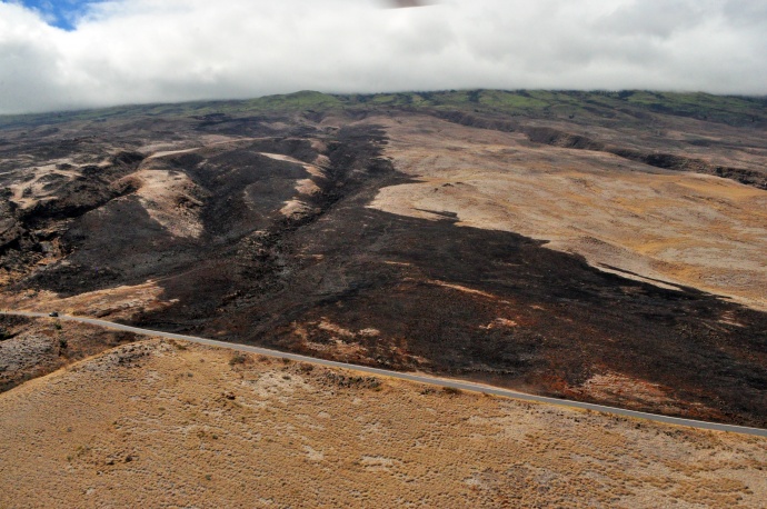 Kaupō burn area. Photo courtesy County of Maui / Ryan Piros.
