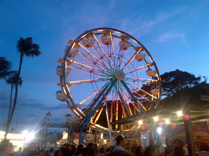 Maui Fair, file photo by Wendy Osher.