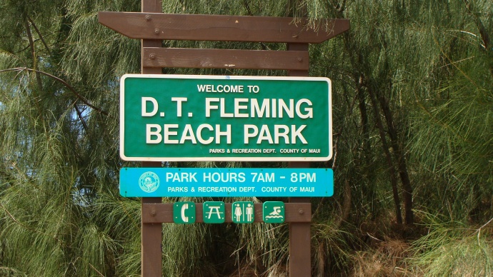 DT Fleming, photo by Wendy Osher.