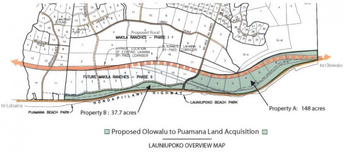 Map of proposed acquisition area in Launiupoko. Image courtesy Maui County Council.
