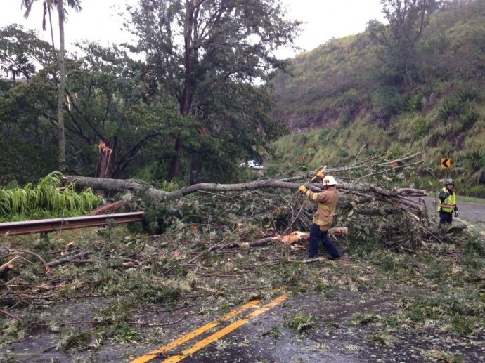 County crews work to clear a downed tree near Maliko Gulch on Maui, 7/20/14.  Photo courtesy County of Maui.