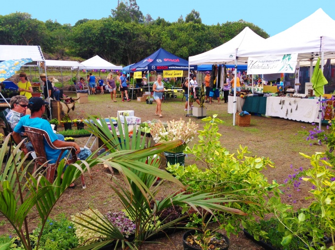 Upcountry Maui is the site of a trio of holiday-season Keokea Homestead Open Market events featuring fresh produce, crafts, food and entertainment.  Photo courtesy: Department of Hawaiian Home Lands .