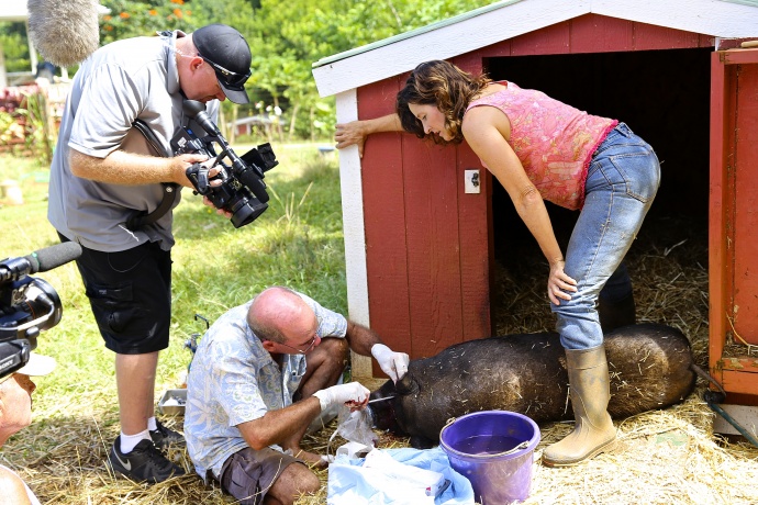 National Geographic's new reality show to feature Leilani Farm Sanctuary.  Photo courtesy: Laurelee Blanchard. 