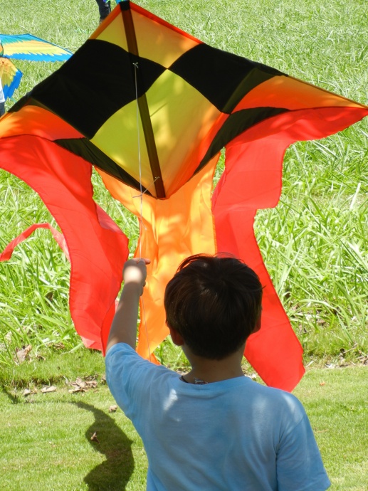 KiteFest boy with kite at beach