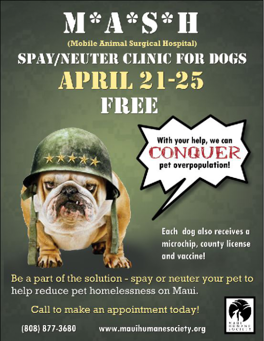 mash spay neuter clinic dog
