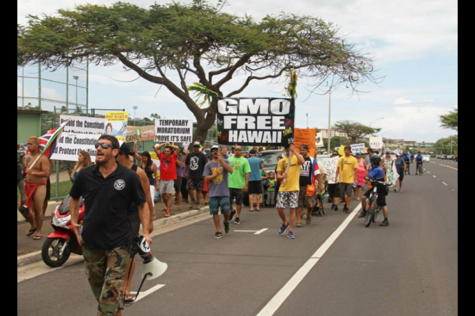 Anti-GMO rally. File photo credit: Rise Up Maui.