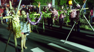 Kākoʻo Haleakalā demonstration, 8/19/15. Photo credit: Nicholas Garrett.