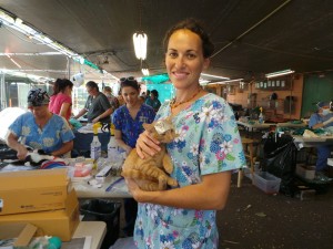 Cat Clinic at the Maui Humane Society. Courtesy photo.
