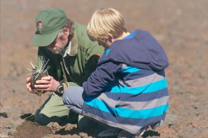 Resource Manager Bill Haus assists a student with planting silversword "keiki" at the summit of Haleakalā.