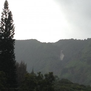 Makamakaʻole rescue. Photo credit: Becky Nakagawa. 