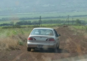 Vehicle MDW181 is described as a gold, 1998, four door, Toyota Corolla (vehicle pictured). Photo courtesy: Maui Police Department.