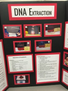 Deconstruction of sorts was the basis of a genetics experiment. The student designed an extraction kit using material from "home and Foodland, and used it to purify DNA from strawberries. Debra Lordan photo.