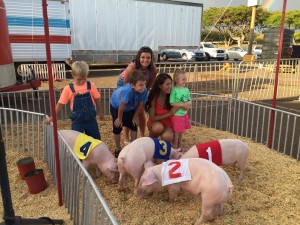 Pigs at 50th State Fair 2015. File photo credit: E.K. Fernandez.