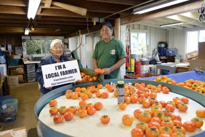 Hanako Hashimoto of Hashimoto Persimmon Farm will be one of three farmers honored at Maui County Ag Festival's Legacy Farmer's Breakfast on April 2. Courtesy photo.