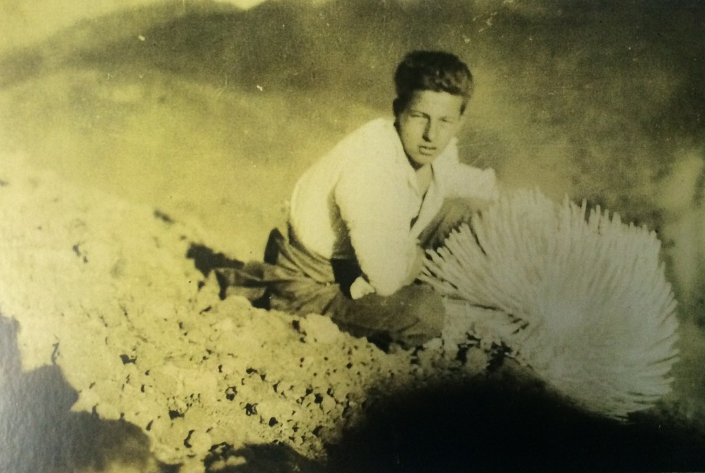 Uncle Rex and silversword--the CCC member we will talk story with on April 23. This is Uncle Rex in the mid 1930's while he was a CCC boy. Photo credit: Haleakalā National Park.