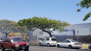 Fire at Island Movers on Alamaha St. (5/5/16) Photo credit: Al Patricio.