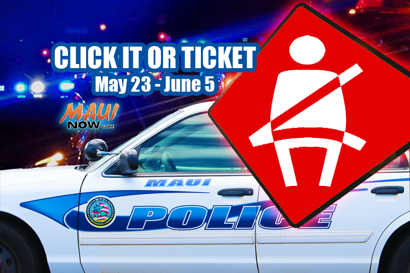 Click It or Ticket 2016. Wendy Osher/Maui Now graphic.