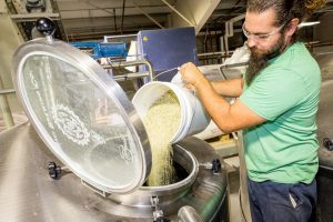 Hemp beer being made. Maui Brewing Co. will debut Hemp ESB on June 4. Courtesy photo.