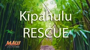 Kīpahulu rescue. Maui Now graphic.