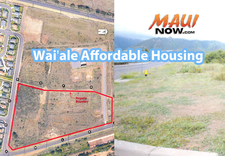 Waiʻale Affordable Housing draft concept plan. Image courtesy Bagoyo Development Consulting Group - Application for Affordable Housing Subdivision.