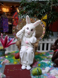 Photo Courtesy Lahaina Cannery Mall.  The big bunny himself will be on hand at Lahaina Cannery Mall Friday, April 10 from 6 p.m. to 8 p.m. and Saturday, April 11 from 10 a.m. to 3 p.m. for photos. Saturday activities include childrenâ€™s crafts, Easter basket giveaways, free face painting, crafts, a visit from the Maui Humane Society's mobile pet adoption program, and magic and comedy from â€œThe Amazing Stuporman.â€ 