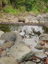 File photo of Iao Stream in West Maui where stream diversions and water rights have been the subject of Water Commission reviews.  Photo by Wendy Osher