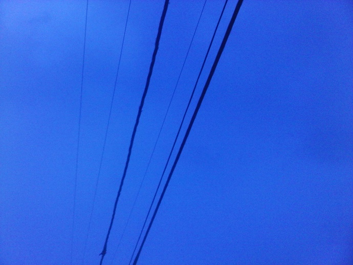 MECO power lines. Photo by Wendy Osher.