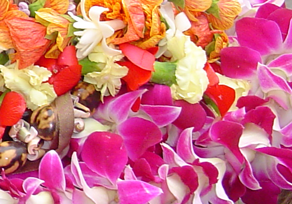 Graduation leis, file photo by Wendy Osher.
