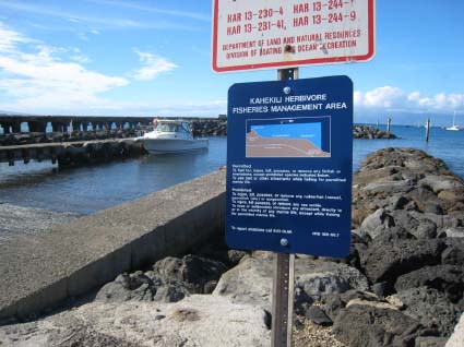 Signs are posted along areas protected in the Kahekili Herbivore Management Area. File photo courtesy Division of Aquatic Resources.
