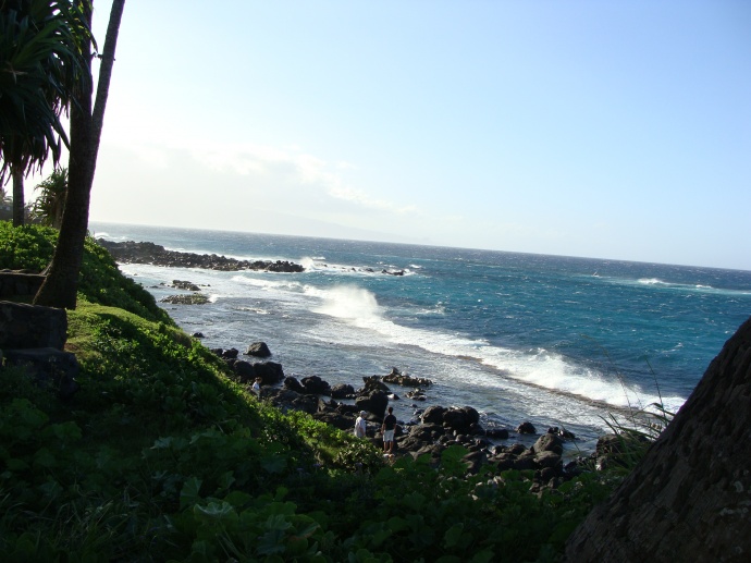 Maui's north shore. File photo by Wendy Osher.