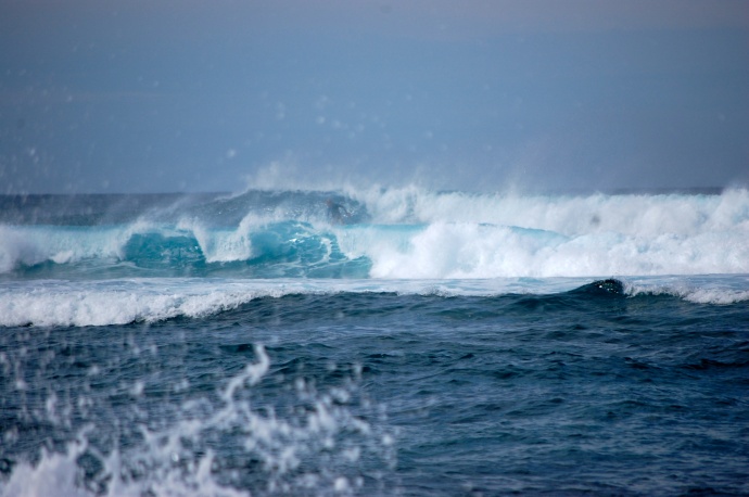 High surf at Hookipa Beach on the North Shore. Photo by Madeline Ziecker. 