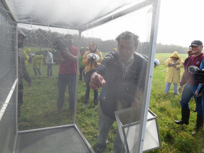 Dr. Mohsen Ramadan, exploratory entomologist for HDOA, releases moths from their enclosure. Courtesy photo.
