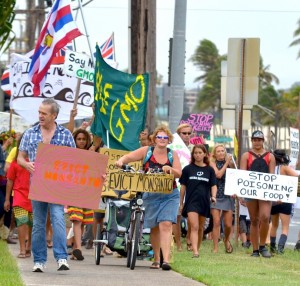 Kahului, Maui - March 23, 2013, Rally against GMOs.  File photo by Rodney Yap.