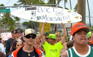 Kahului, Maui - Rally against GMOs.  Photo by Rodney Yap.