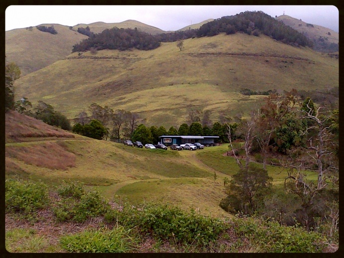 The Pu'u Mahoe cinder cone, located mauka of the Ulupalakua Ranch Store and Winery along the southern slopes of Haleakala was green with foliage during a recent visit.  The site is home to the Flemming Arboretum and a variety of native and endangered plants. Photo by Wendy Osher.