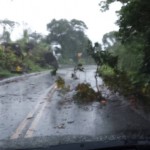 Flossie impacts in Hāna area of East Maui. Photo courtesy Jo-Lei Redo.
