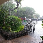 Flossie impacts in Lahaina. Photo courtesy Susan Figg.