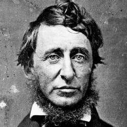 Henry David Thoreau urges you to try a little harder.