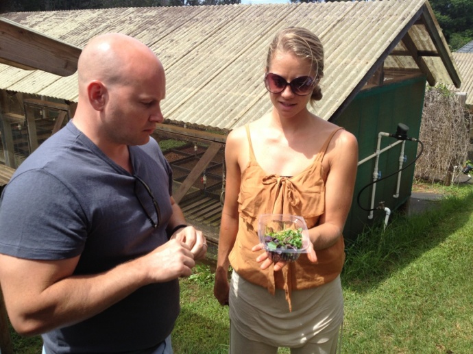 Chef Dan Kluger on a tour of Aina Lani Farm earlier today. Courtesy photo