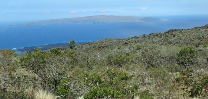 Upper elevation, with view of Mākena and Wailea area. Kahoʻolawe can be seen in the distance.  Photo by Wendy Osher.